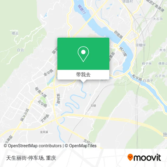 天生丽街-停车场地图