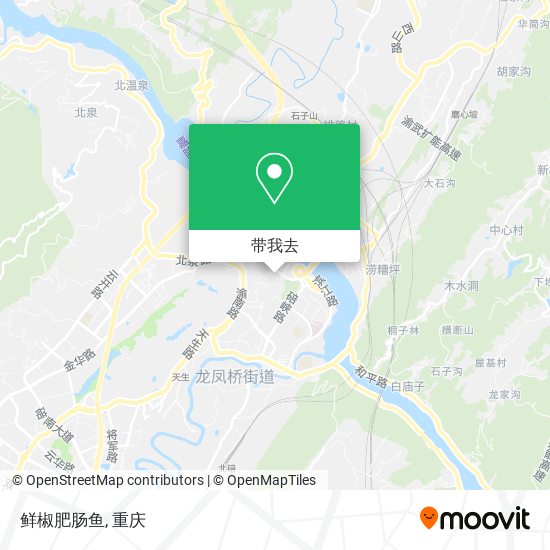 鲜椒肥肠鱼地图