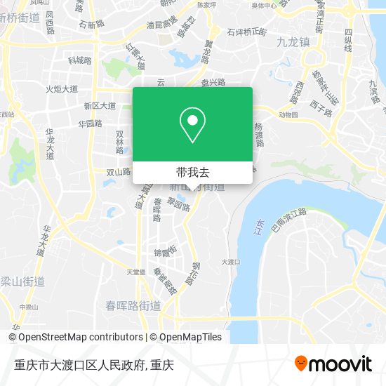 重庆市大渡口区人民政府地图