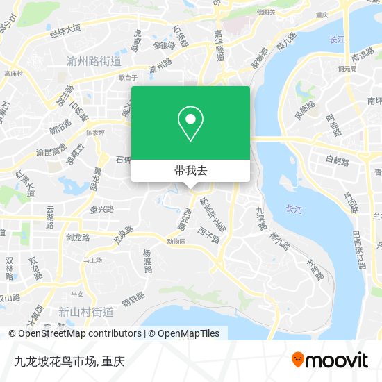 九龙坡花鸟市场地图