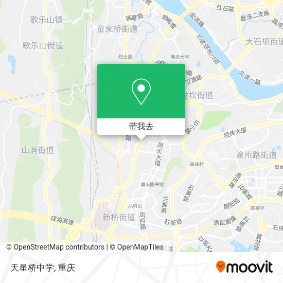 天星桥中学地图