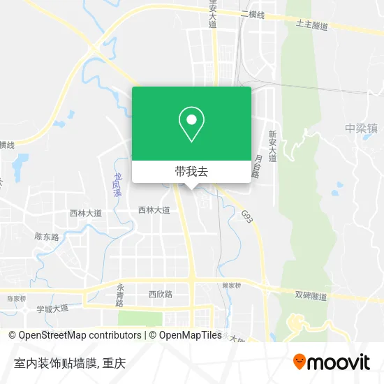 室内装饰贴墙膜地图