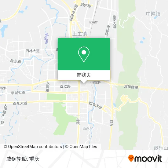 威狮轮胎地图