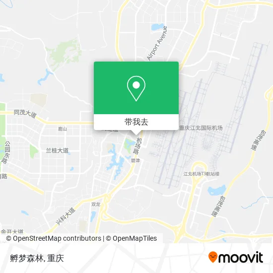 孵梦森林地图