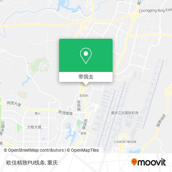 欧佳精致PU线条地图