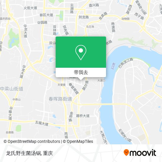 龙氏野生菌汤锅地图