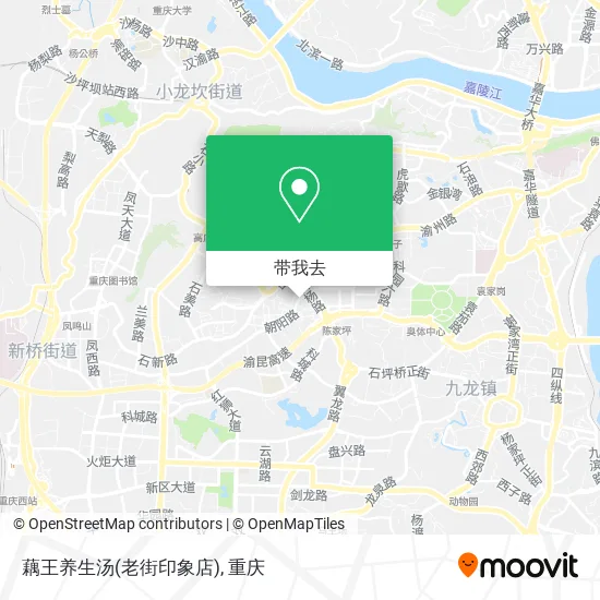 藕王养生汤(老街印象店)地图