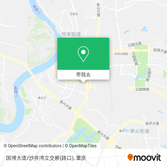 国博大道/沙井湾立交桥(路口)地图