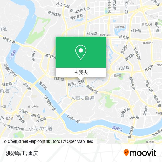 洪湖藕王地图
