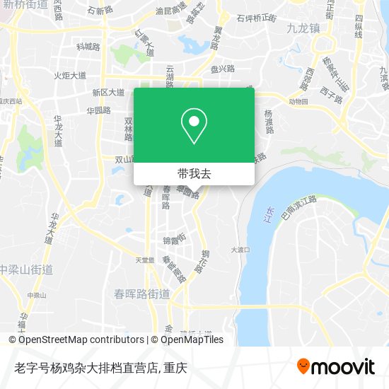 老字号杨鸡杂大排档直营店地图