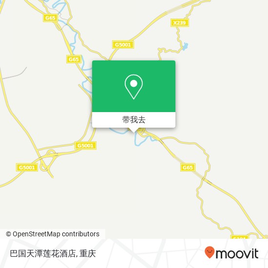 巴国天潭莲花酒店地图