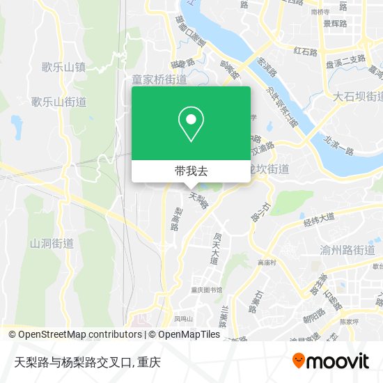 天梨路与杨梨路交叉口地图