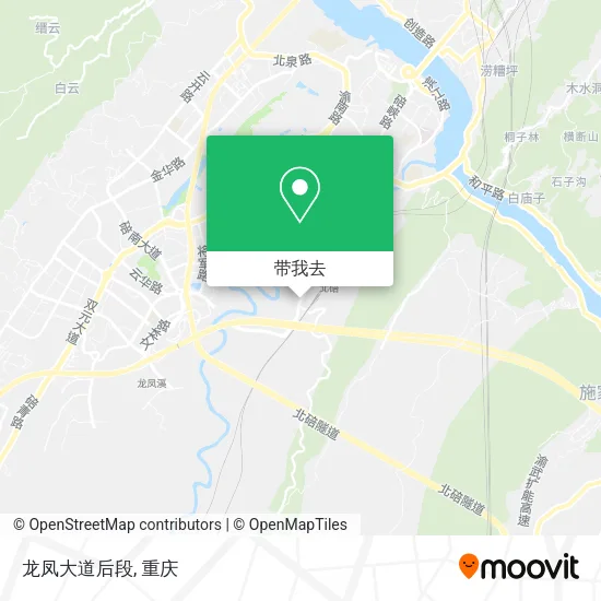 龙凤大道后段地图