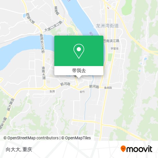 向大大地图