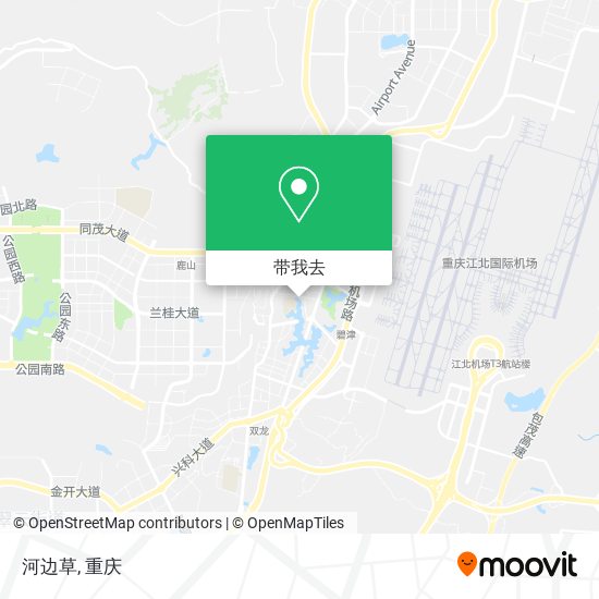河边草地图