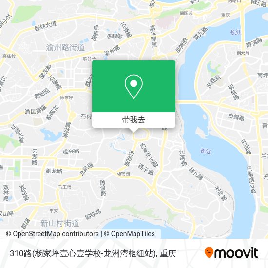310路(杨家坪壹心壹学校-龙洲湾枢纽站)地图