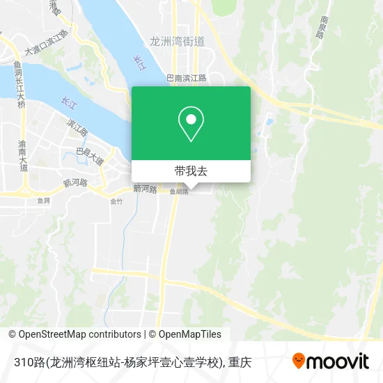 310路(龙洲湾枢纽站-杨家坪壹心壹学校)地图