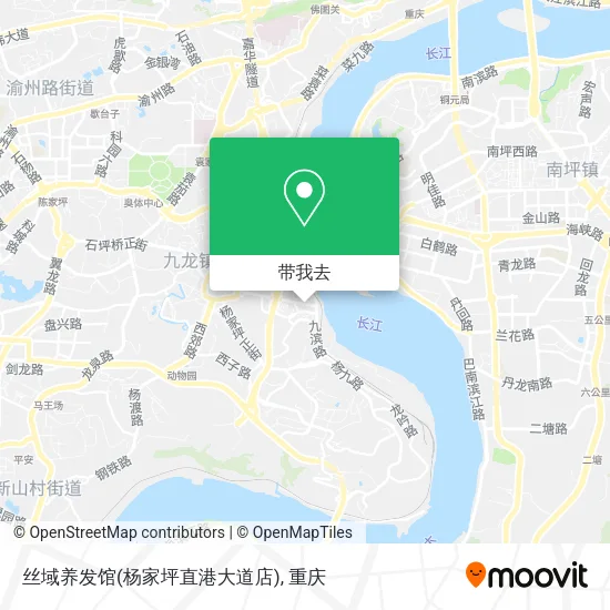 丝域养发馆(杨家坪直港大道店)地图
