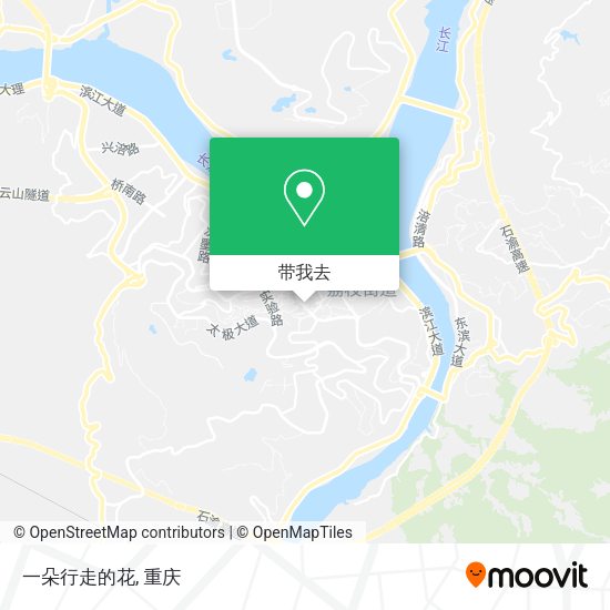 一朵行走的花地图
