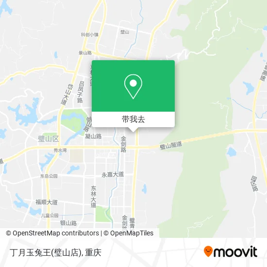 丁月玉兔王(璧山店)地图