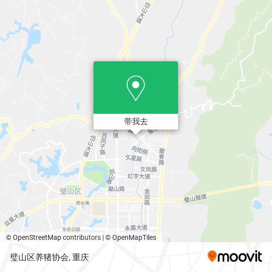 璧山区养猪协会地图