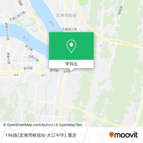 196路(龙洲湾枢纽站-大江中学)地图