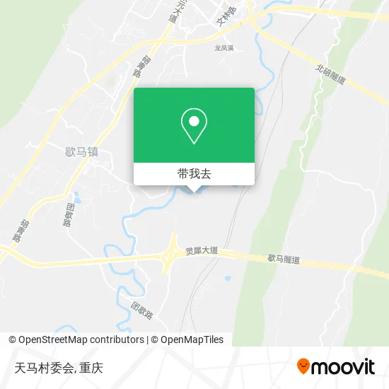 天马村委会地图