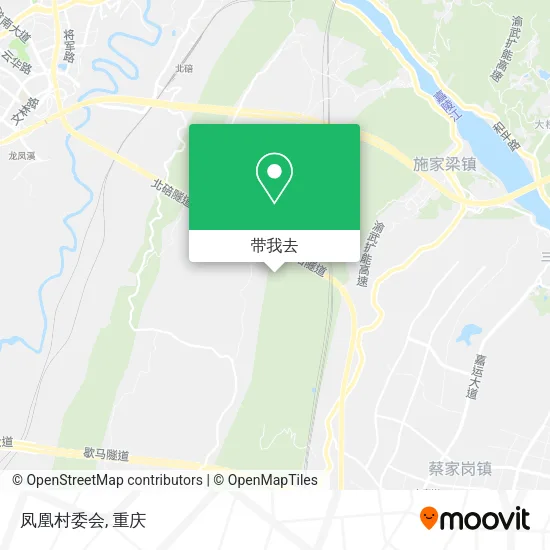 凤凰村委会地图