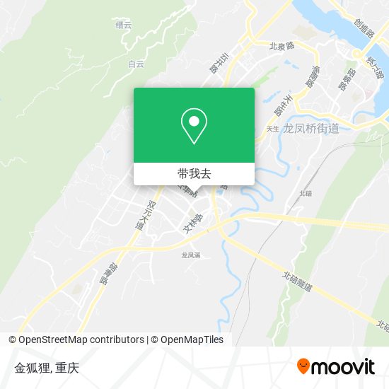 金狐狸地图