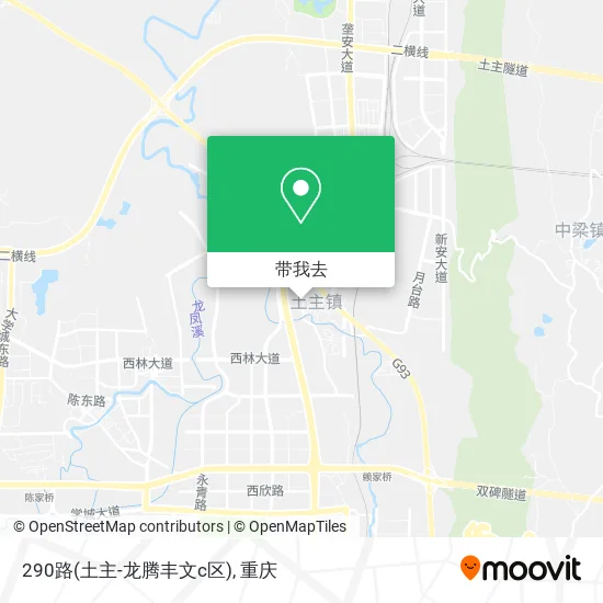 290路(土主-龙腾丰文c区)地图