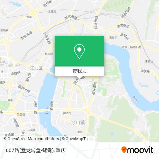 607路(盘龙转盘-鸳鸯)地图