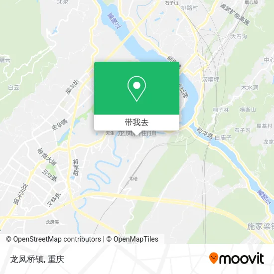 龙凤桥镇地图