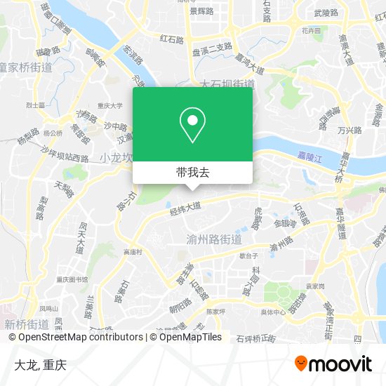 大龙地图