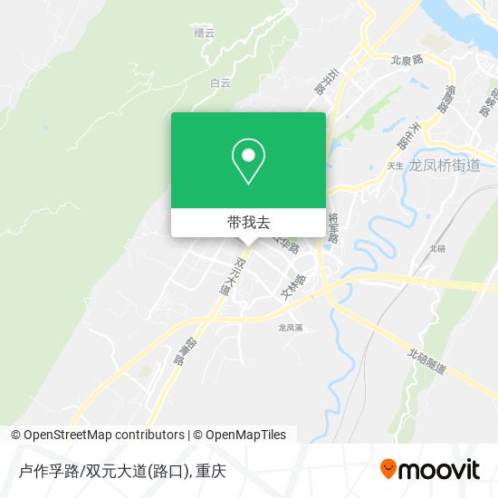 卢作孚路/双元大道(路口)地图