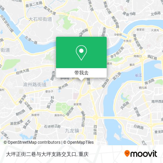 大坪正街二巷与大坪支路交叉口地图