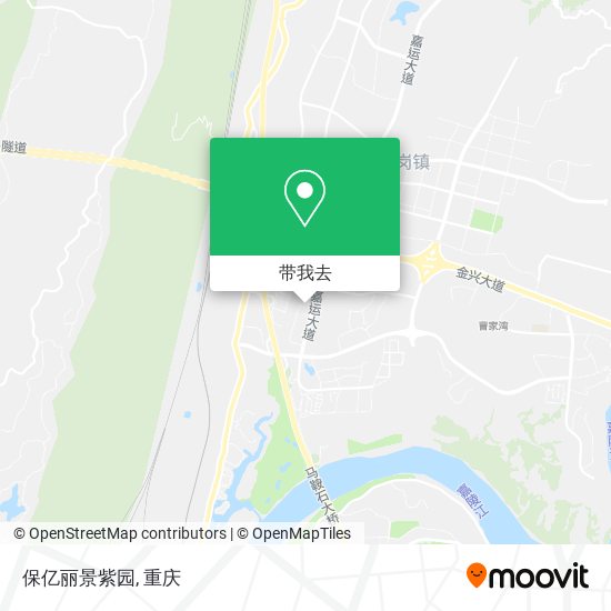 保亿丽景紫园地图