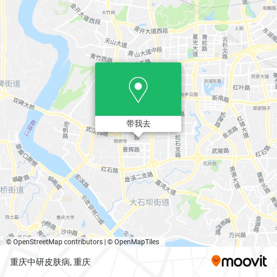 重庆中研皮肤病地图