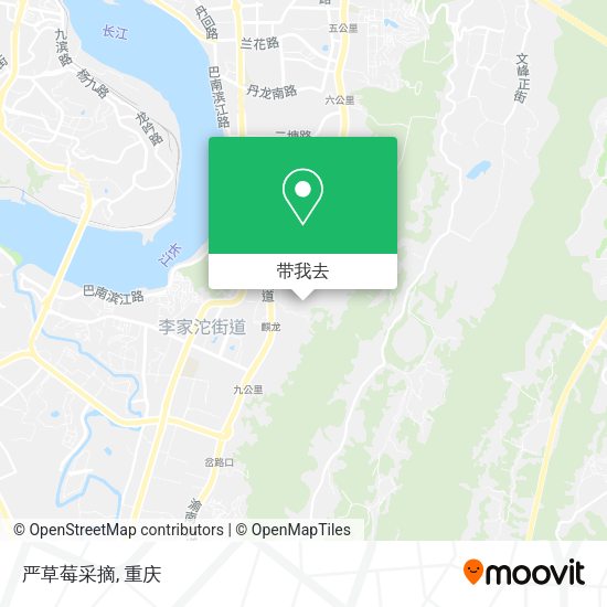 严草莓采摘地图