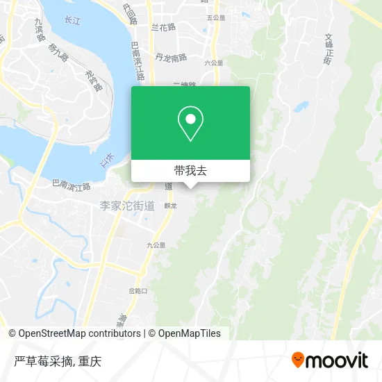 严草莓采摘地图