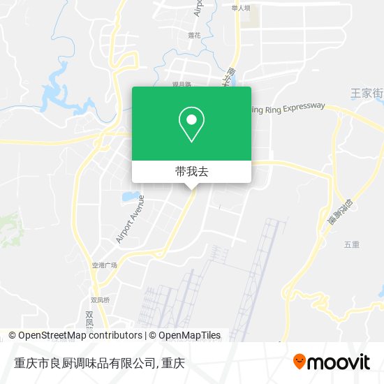 重庆市良厨调味品有限公司地图