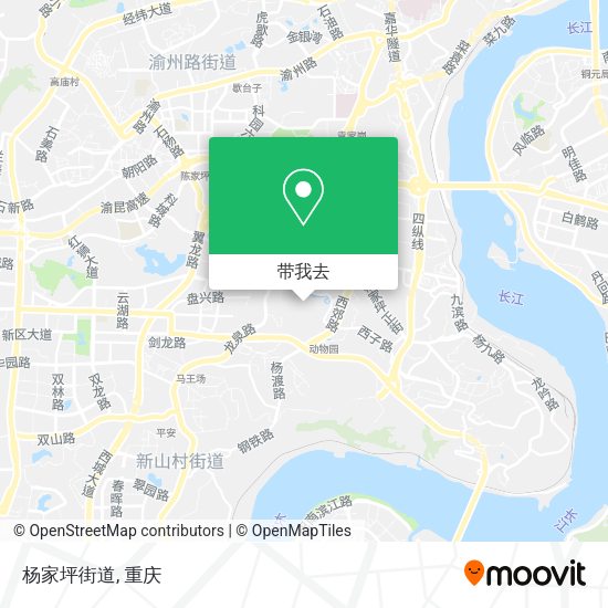 杨家坪街道地图