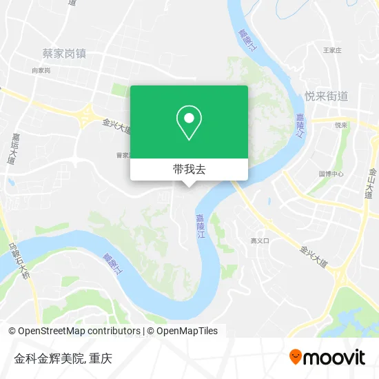 金科金辉美院地图