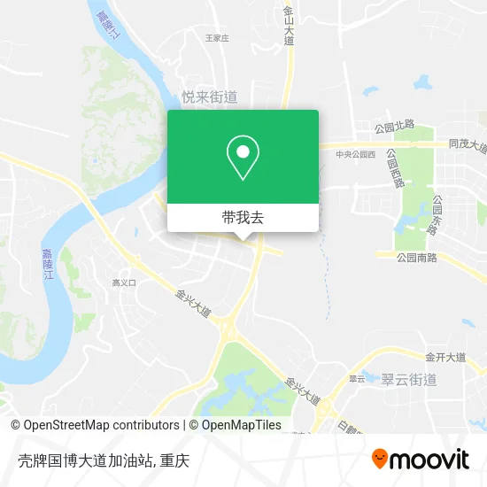 壳牌国博大道加油站地图