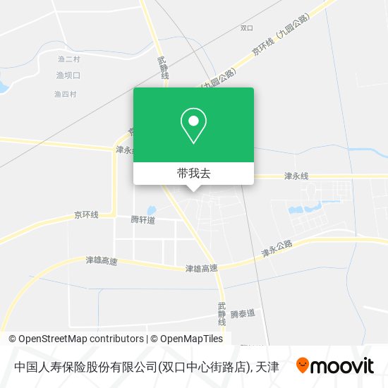 中国人寿保险股份有限公司(双口中心街路店)地图