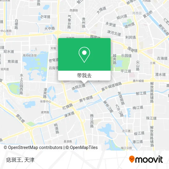 痣斑王地图