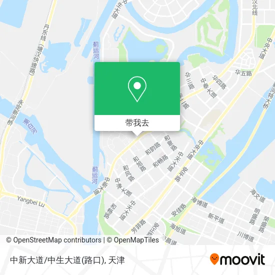 中新大道/中生大道(路口)地图