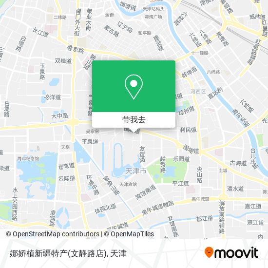 娜娇植新疆特产(文静路店)地图