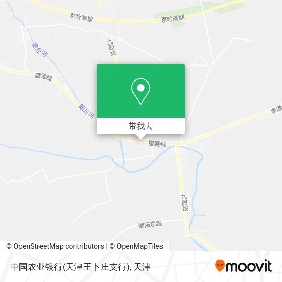 中国农业银行(天津王卜庄支行)地图