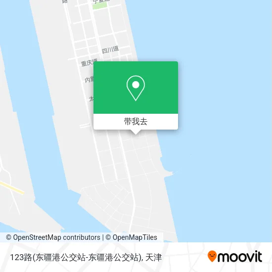 123路(东疆港公交站-东疆港公交站)地图