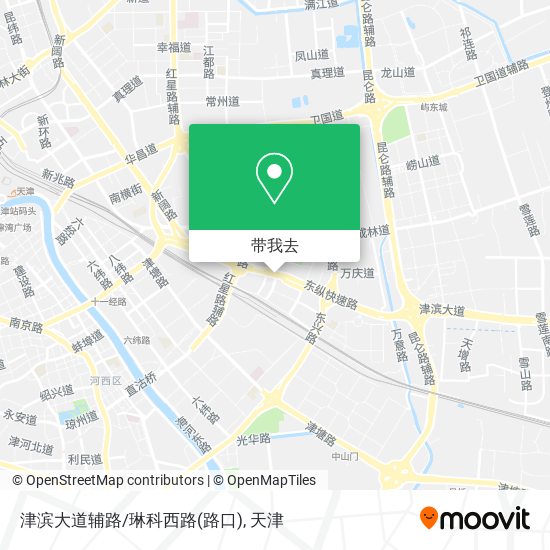 津滨大道辅路/琳科西路(路口)地图